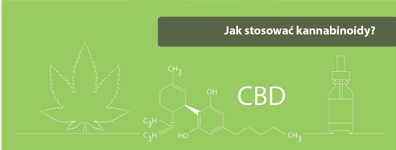how to use cannabinoids - purehemp - cbd bioavailability