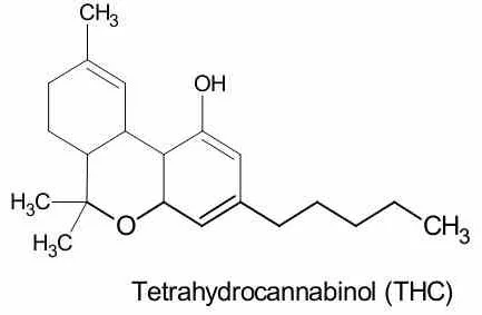 thc molecule structure