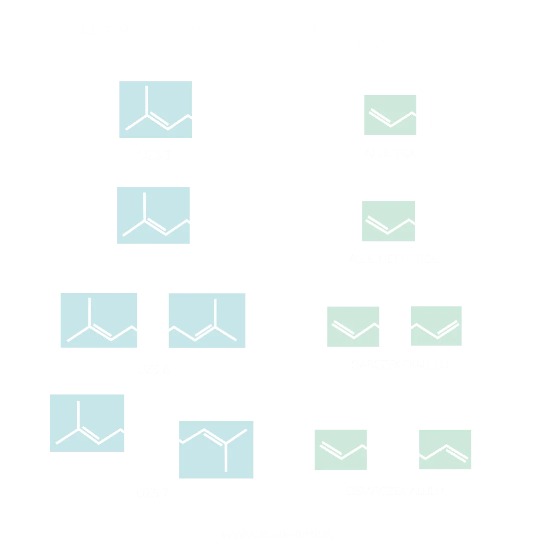 comparison of the chemical formulae of terpenes and sulphur compounds in hemp and garlic